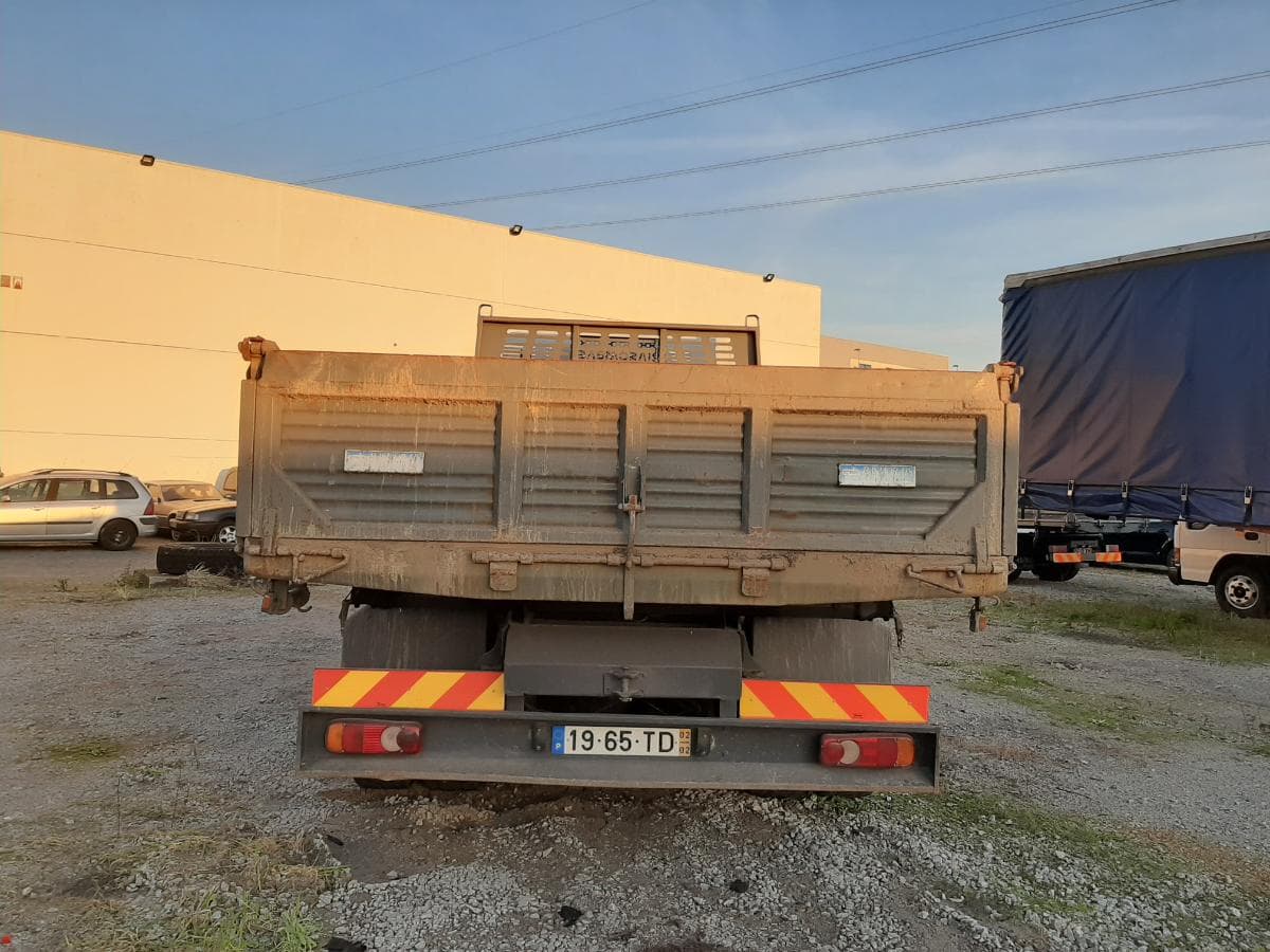 Renault 220 DCI Tribasculante · Ano 2002 — imagem 5