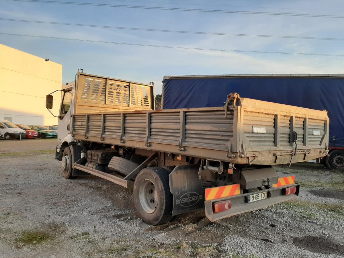 Renault 220 DCI Tribasculante · Ano 2002 — imagem 6