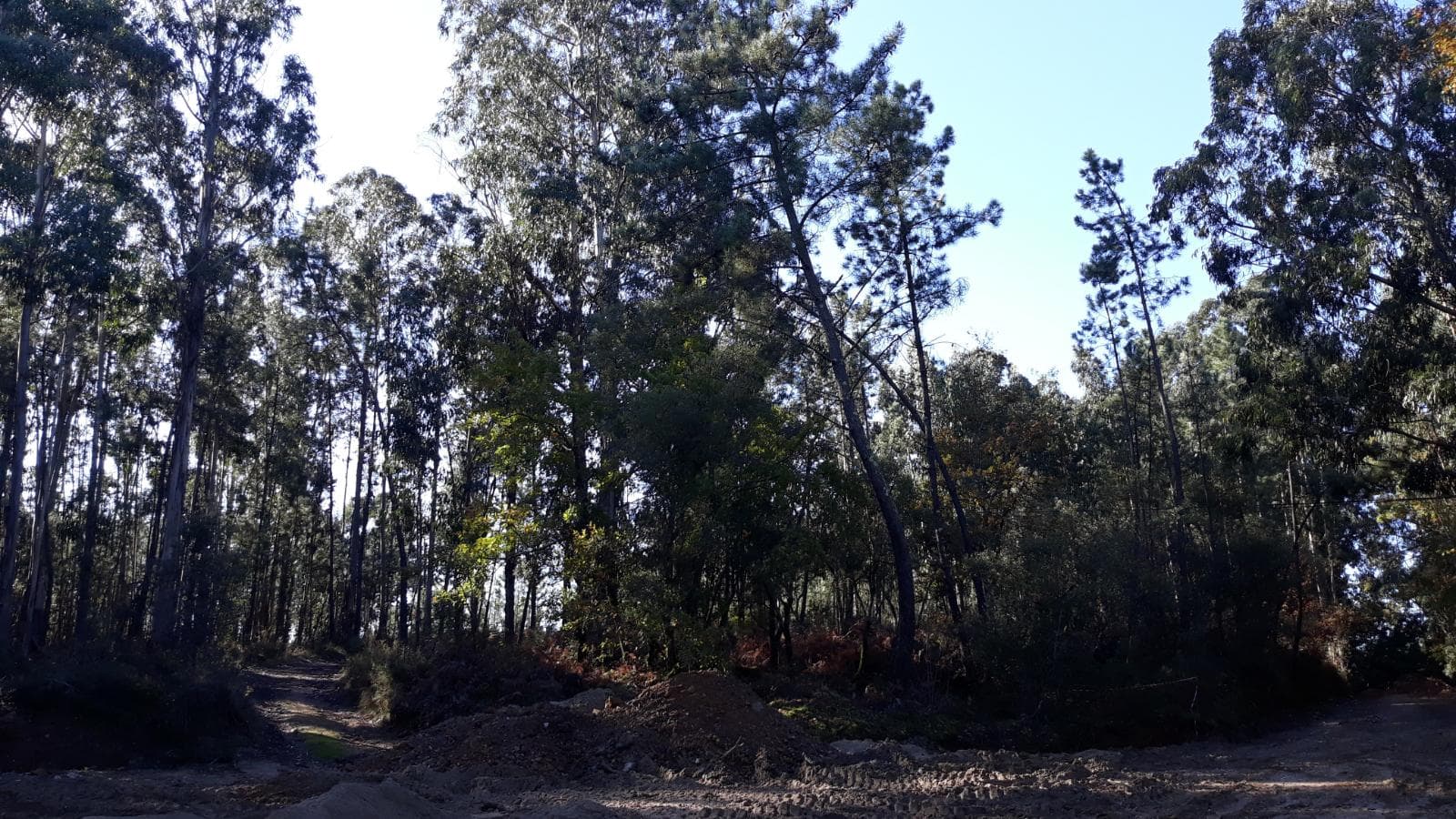 Quinhão Hereditário · Vila Nova de Poiares — imagen 5