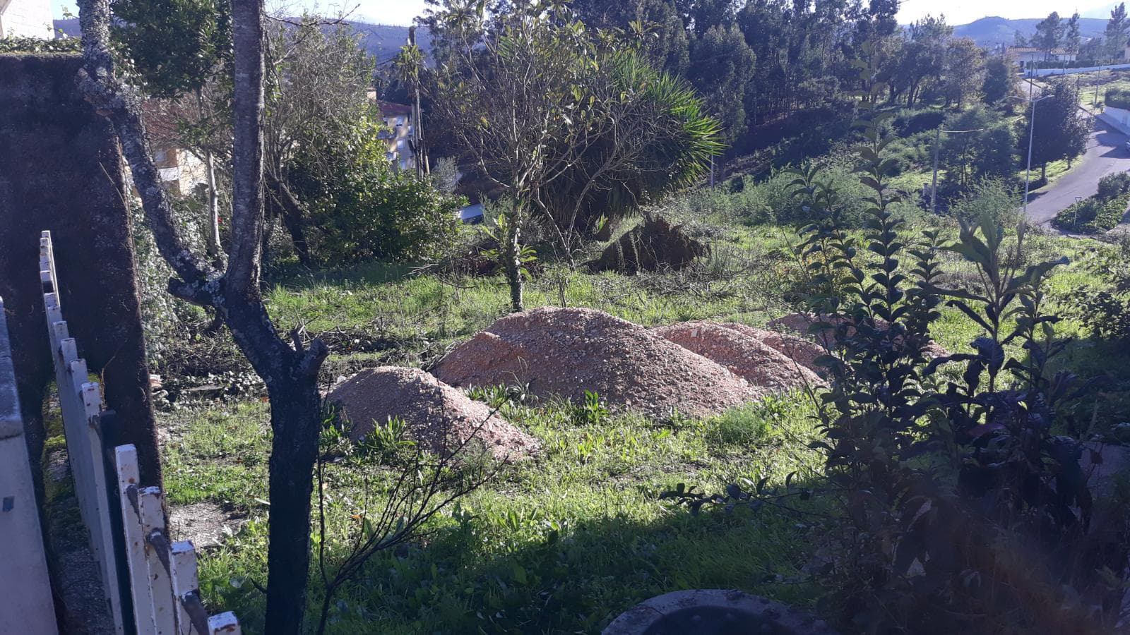 Quinhão Hereditário · Vila Nova de Poiares — imagen 8