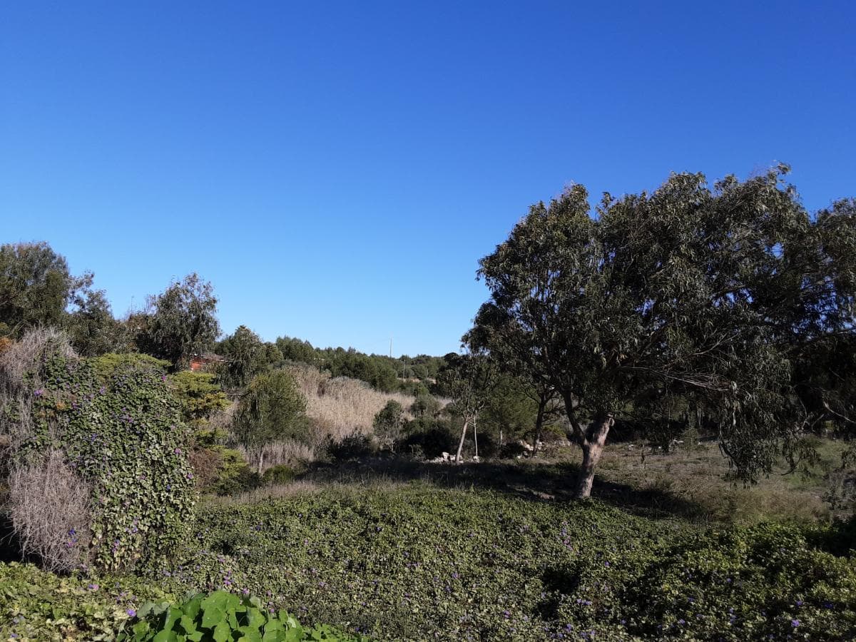 Terreno · Cascais — imagem 1