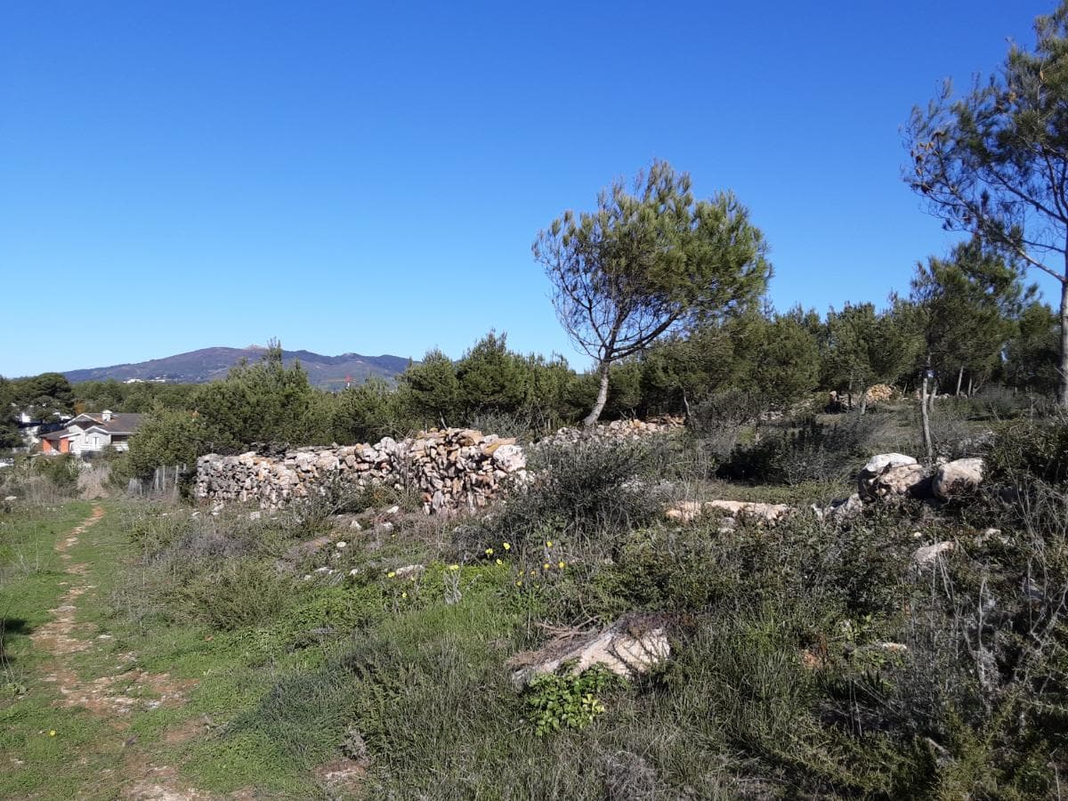 Terreno · Cascais — imagem 2