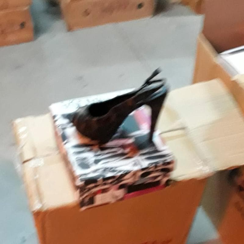 Zapatos senora — imagem 3