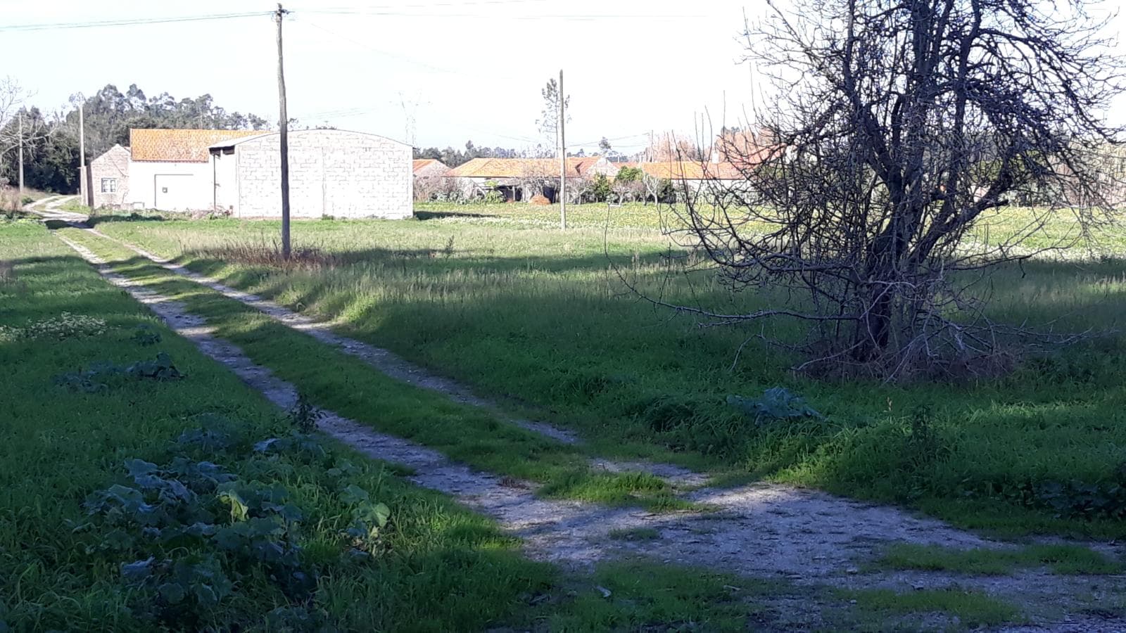 Moradia V3 · Montemor-o-Velho — imagen 3