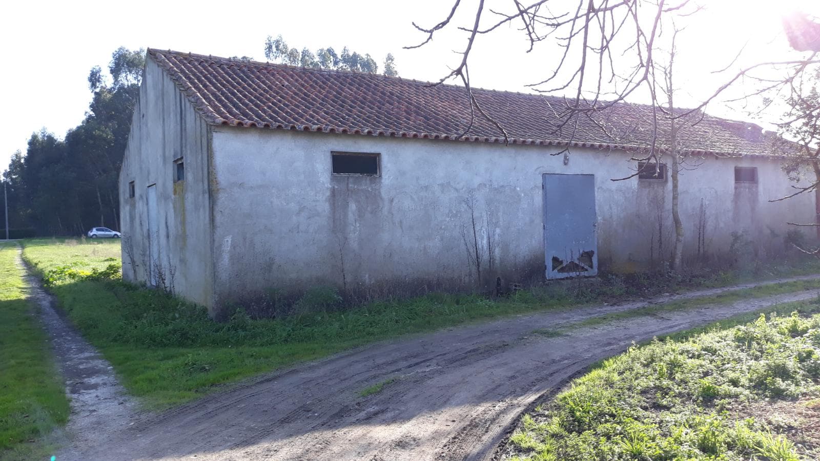 3/10 de Terreno · Montemor-o-Velho — imagem 2
