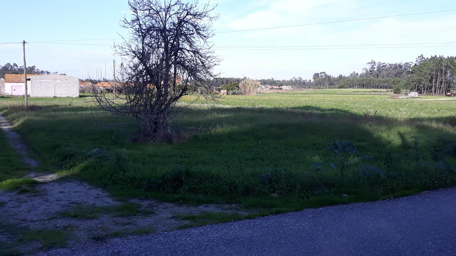 Terreno · Montemor-o-Velho — image 3