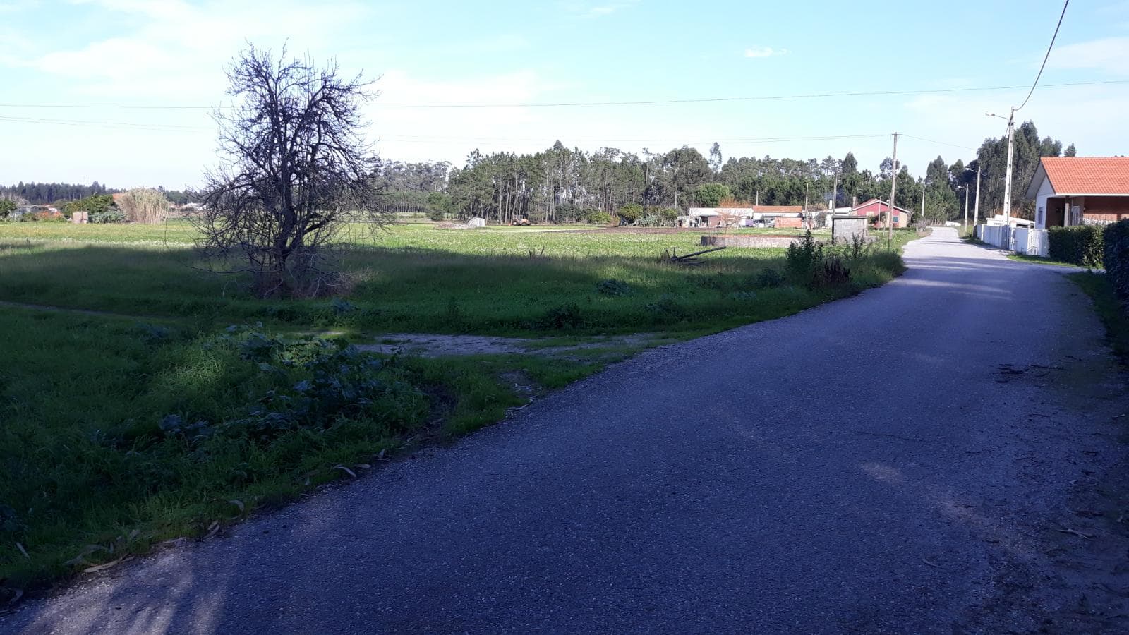 Terreno · Montemor-o-Velho — image 4