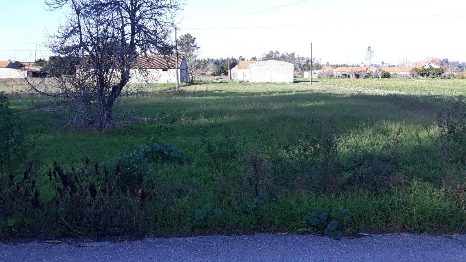 Terreno · Montemor-o-Velho — image 5