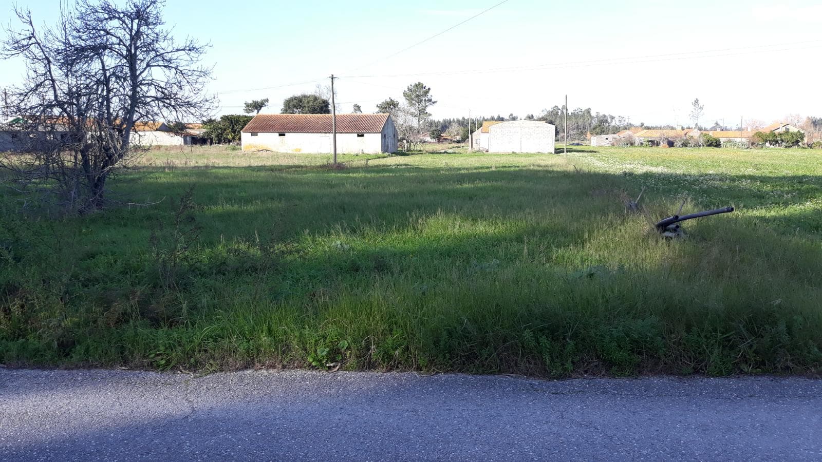 Terreno · Montemor-o-Velho — image 6