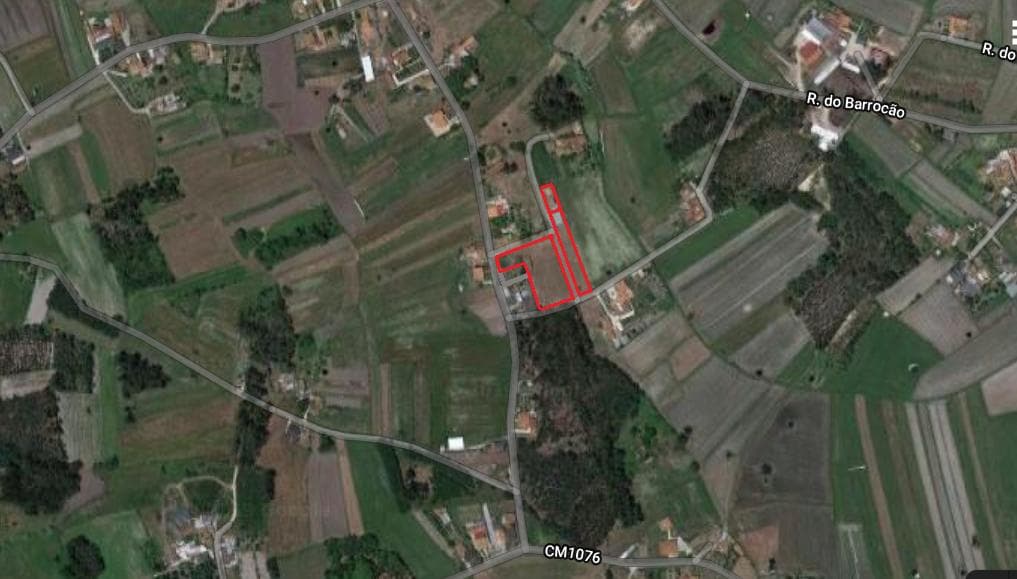 Terreno · Montemor-o-Velho — image 8