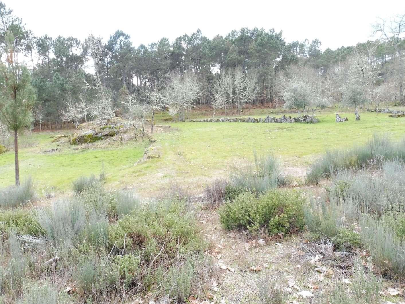 Terreno com 1,2 Hectares · Trancoso — imagen 1