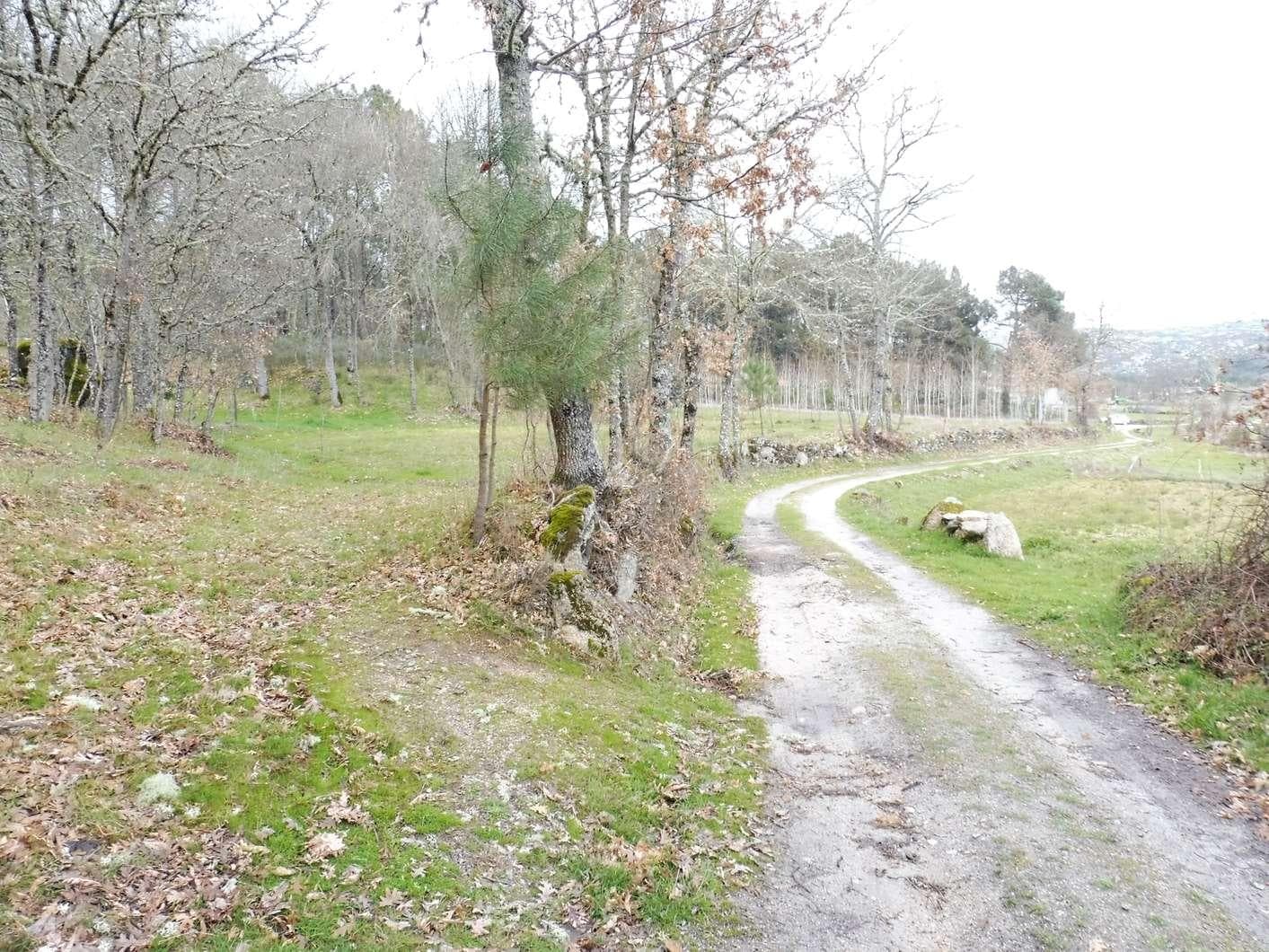 Terreno com 1,2 Hectares · Trancoso — imagen 4