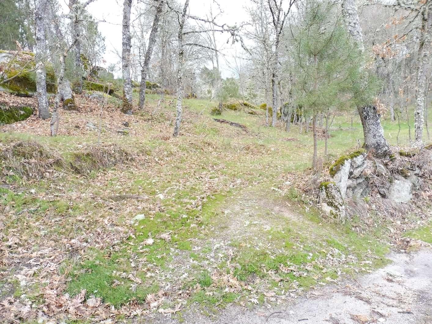 Terreno com 1,2 Hectares · Trancoso — imagen 7
