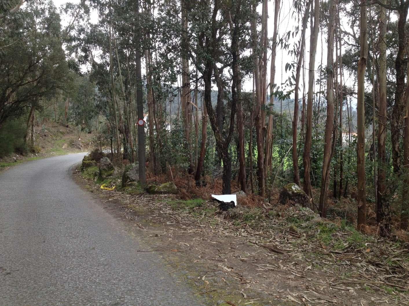 IMOVEL - Prédio Rústico - Terreno de monte com 825m2. Sito em Leira de Monte da Mata, união das freguesias de ... — imagen 2