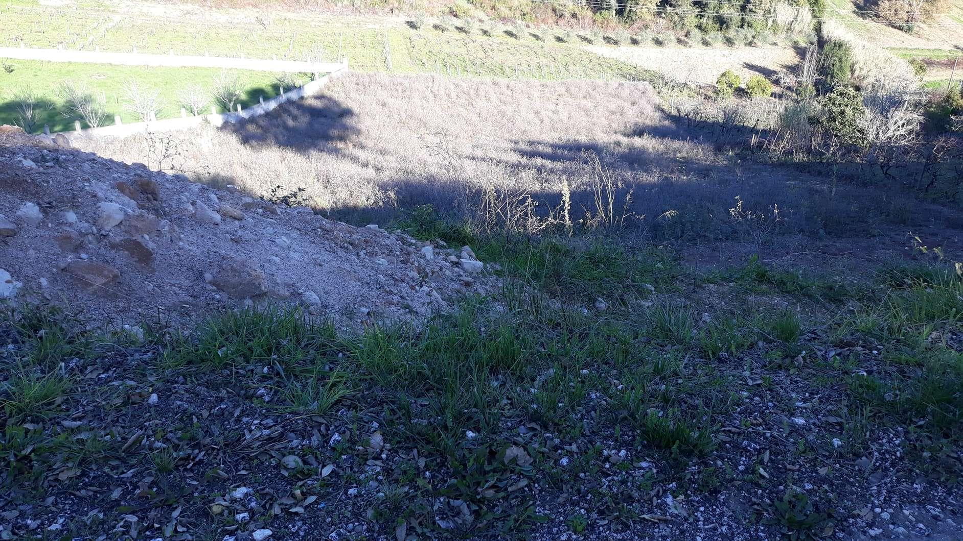 Terreno · Coimbra — imagem 1