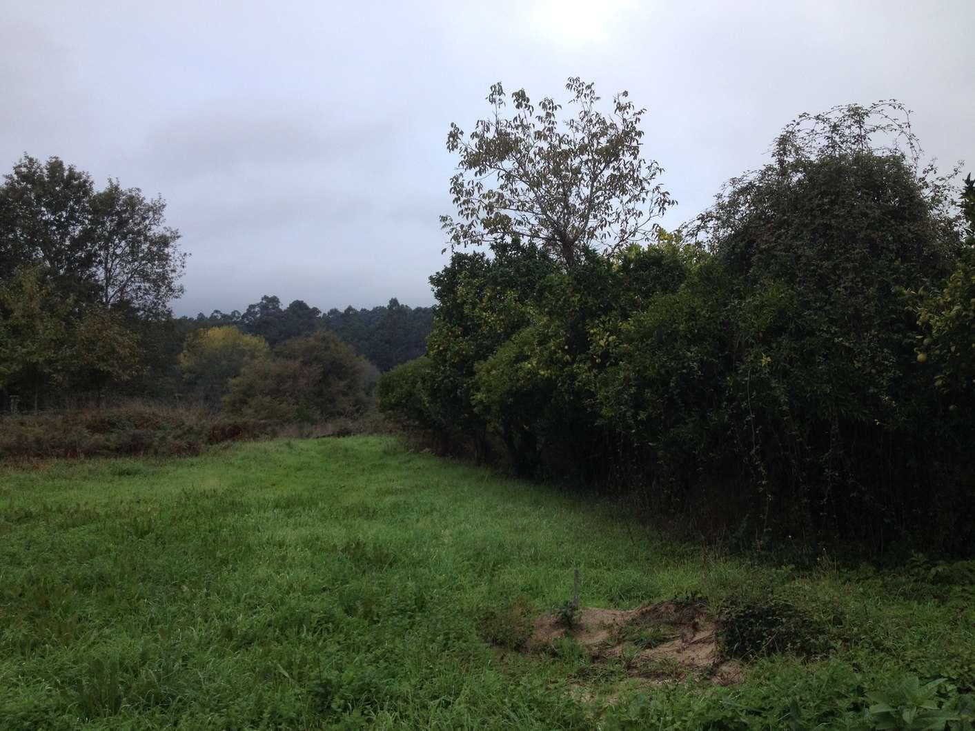 Moradia + Terreno · Valença — imagen 5