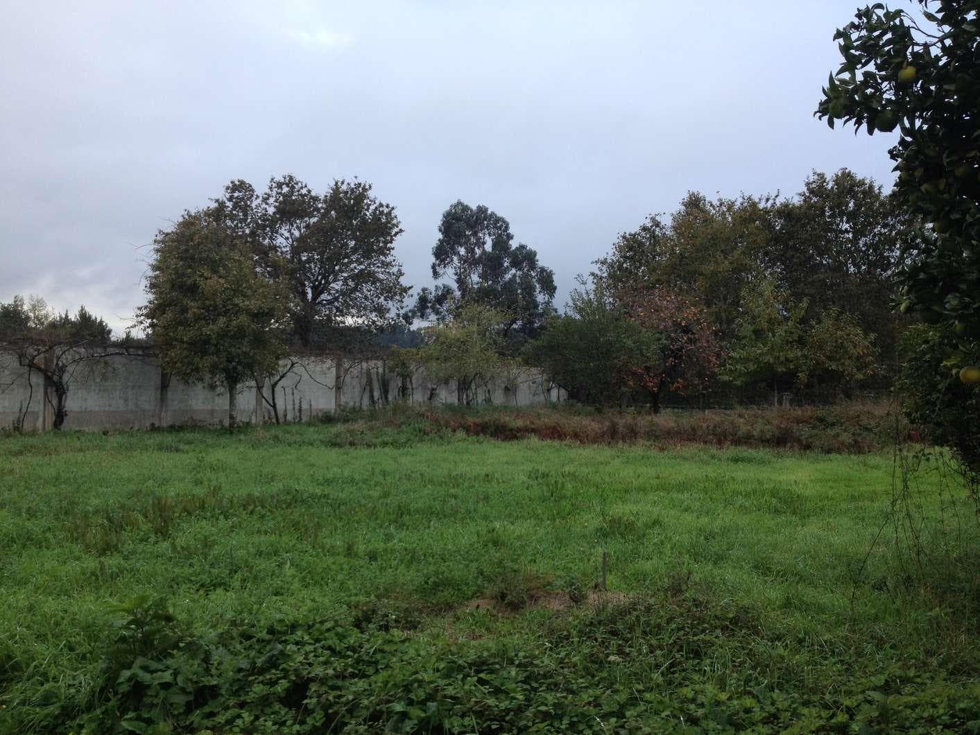 Moradia + Terreno · Valença — imagen 9