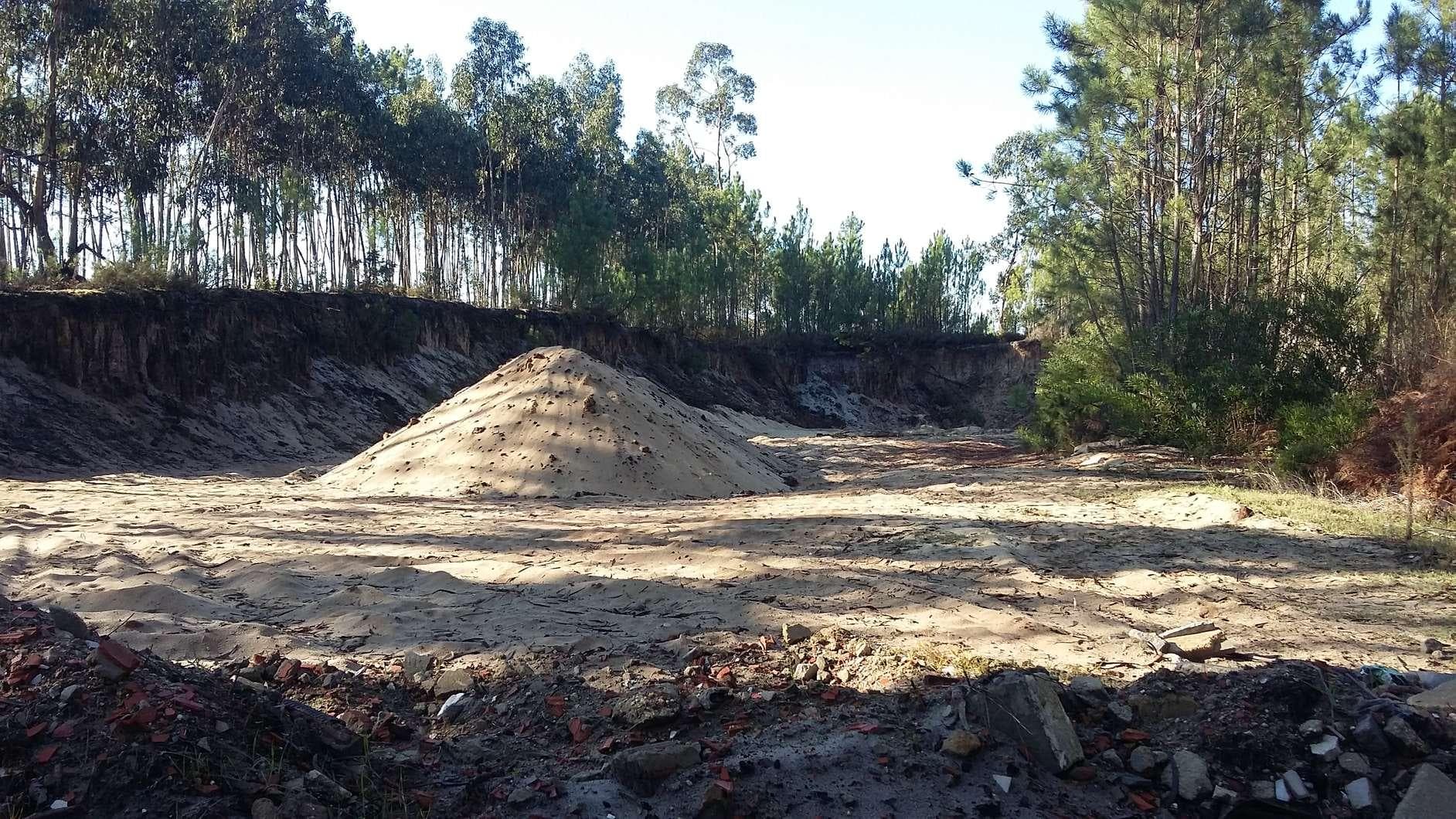 IMOVEL - Prédio Rústico - Terreno a pinhal com área total de 1.495m2. Sito em Lugar de Marco, união das fregu ... · Vagos — imagen 1