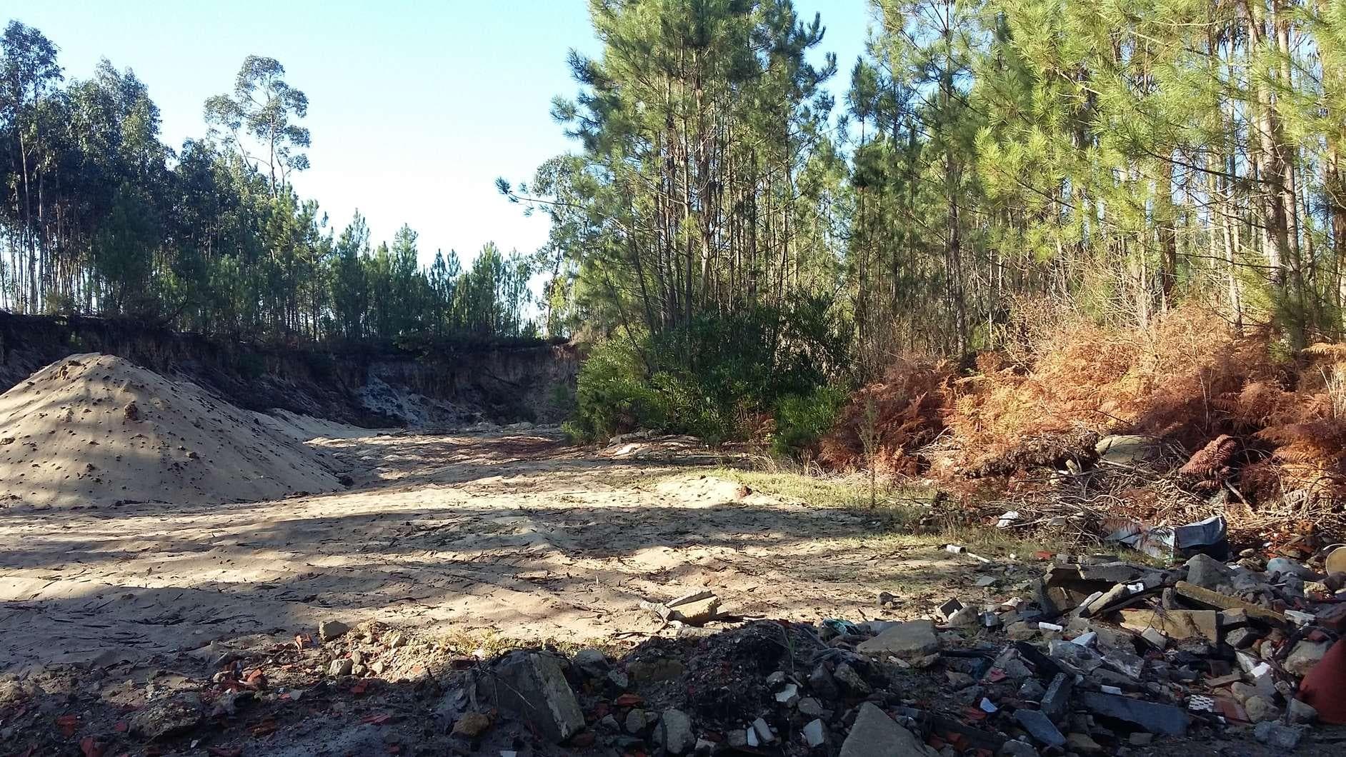 IMOVEL - Prédio Rústico - Terreno a pinhal com área total de 1.495m2. Sito em Lugar de Marco, união das fregu ... · Vagos — imagen 2