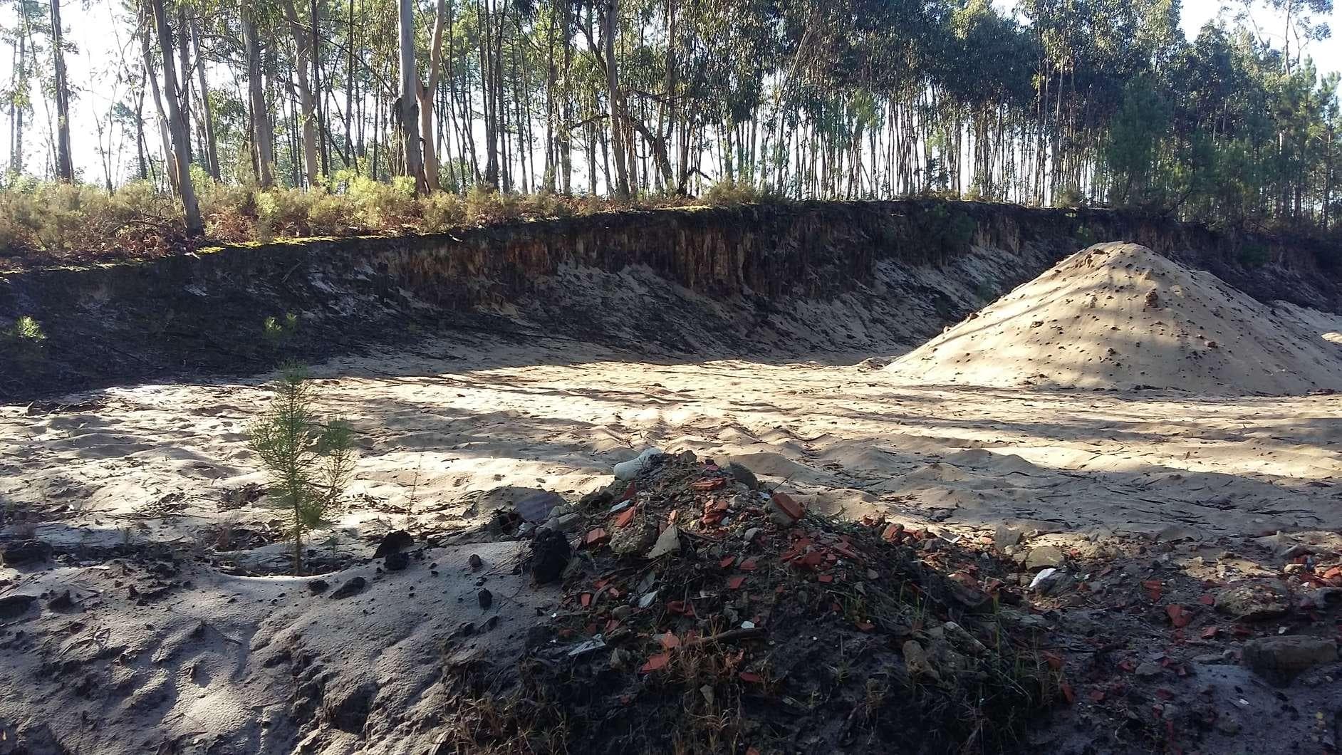 IMOVEL - Prédio Rústico - Terreno a pinhal com área total de 1.495m2. Sito em Lugar de Marco, união das fregu ... · Vagos — imagen 4