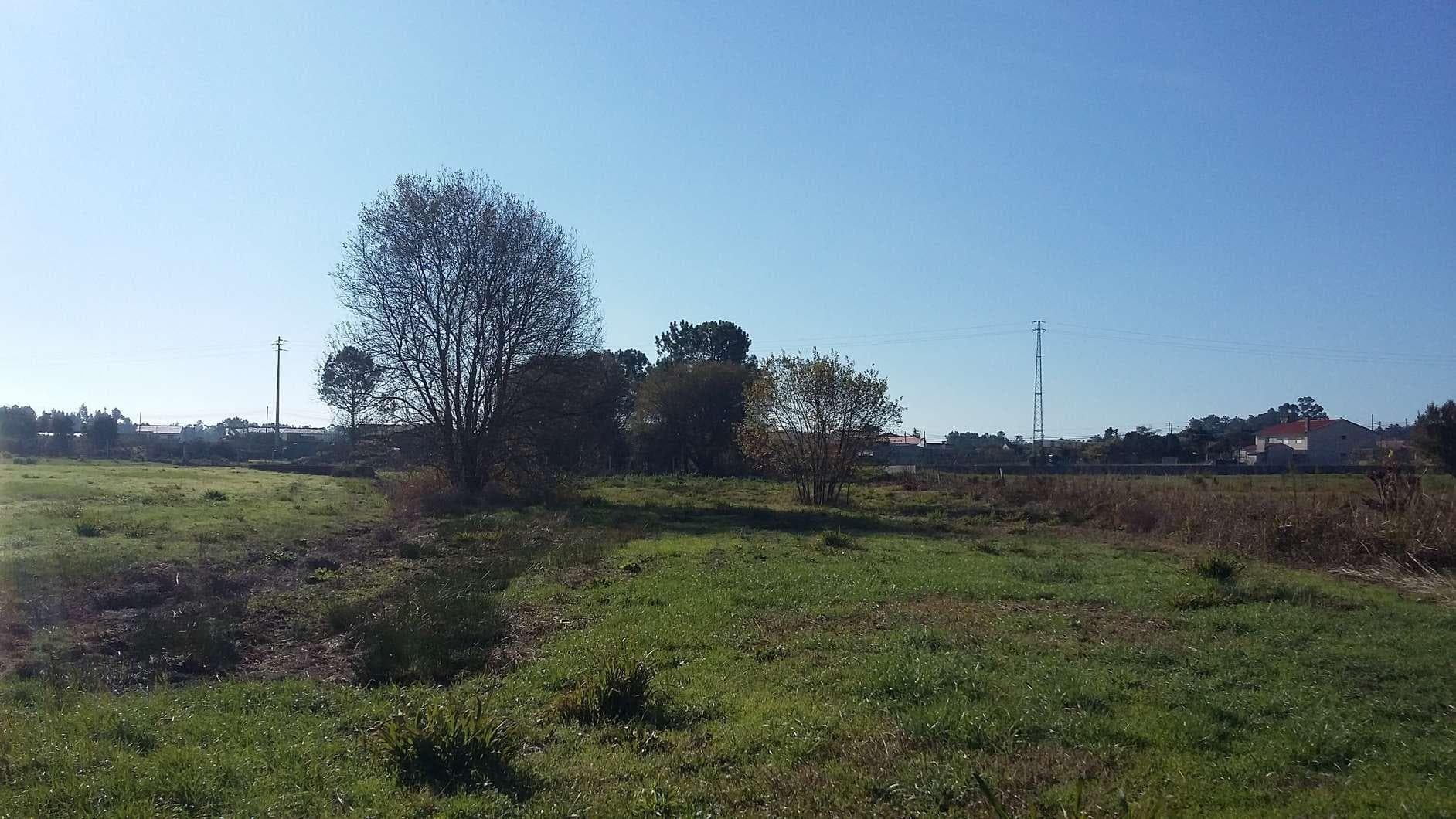 IMOVEL - Prédio Rústico - Terra de cultura com área total de 850m2. Sito em Lugar, união das freguesias de Fo ... · Vagos — imagen 1