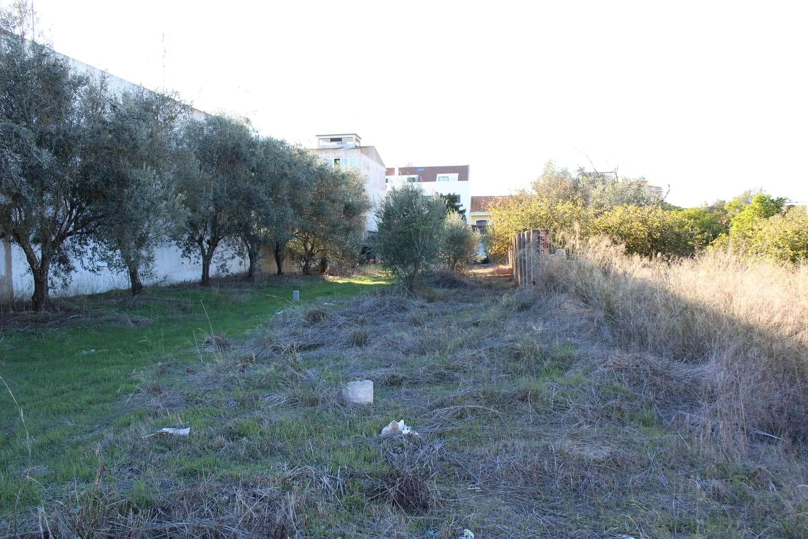 IMOVEL - Prédio Urbano - Edifício de rés-do-chão com quintal. Sito na Av. Manuel Joaquim Pereira - Rua da Est ... — image 2