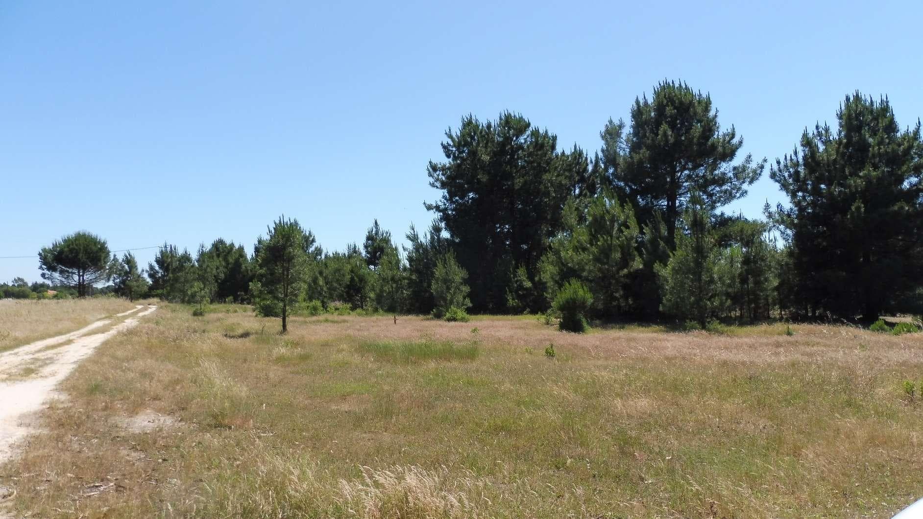 Terreno · Benavente