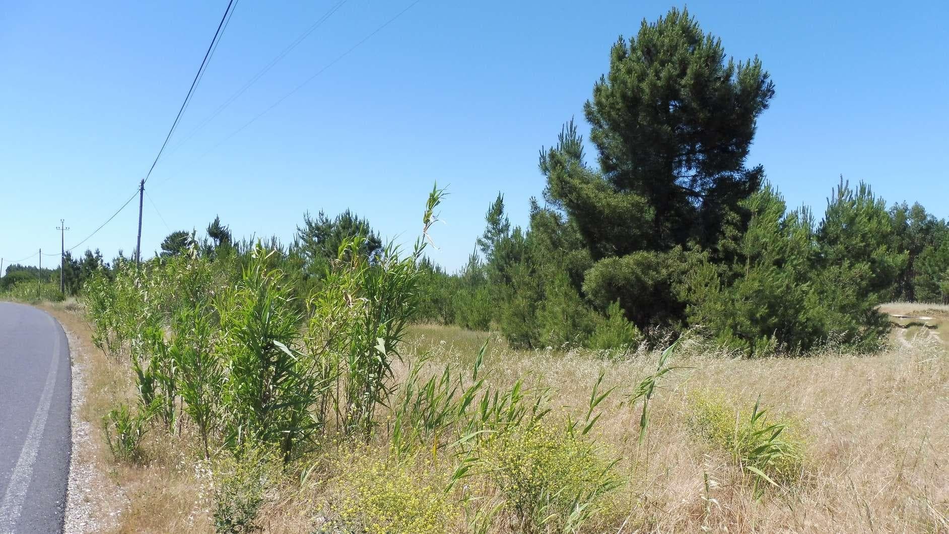 Terreno · Benavente — image 2