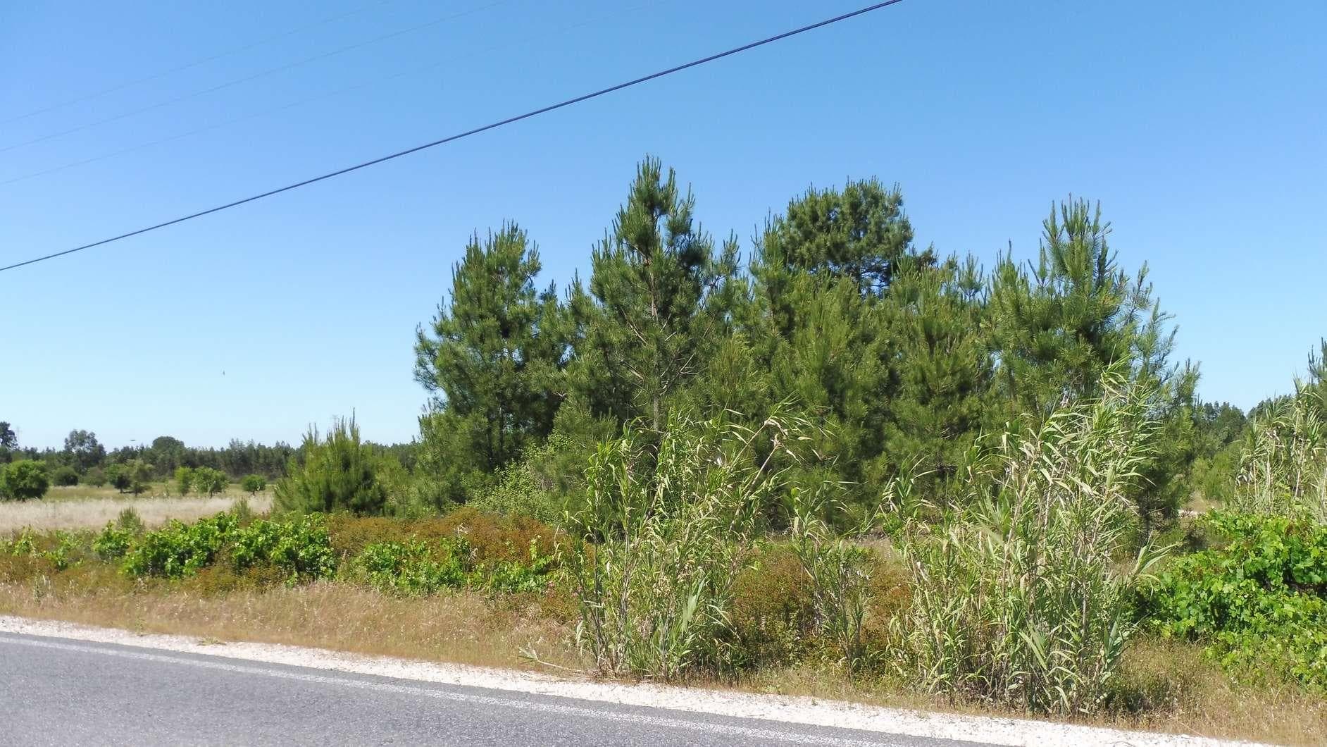 Terreno · Benavente — imagen 1