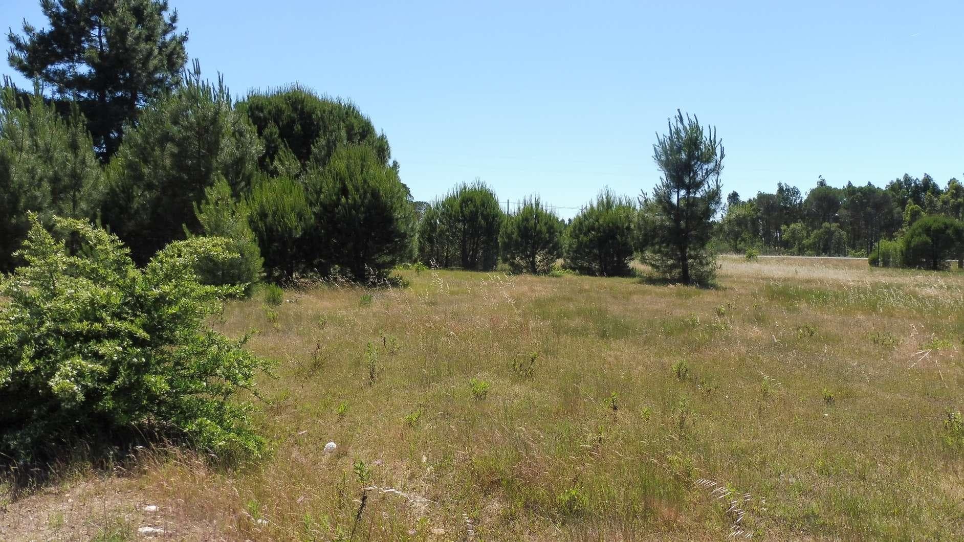 Terreno · Benavente — imagen 2