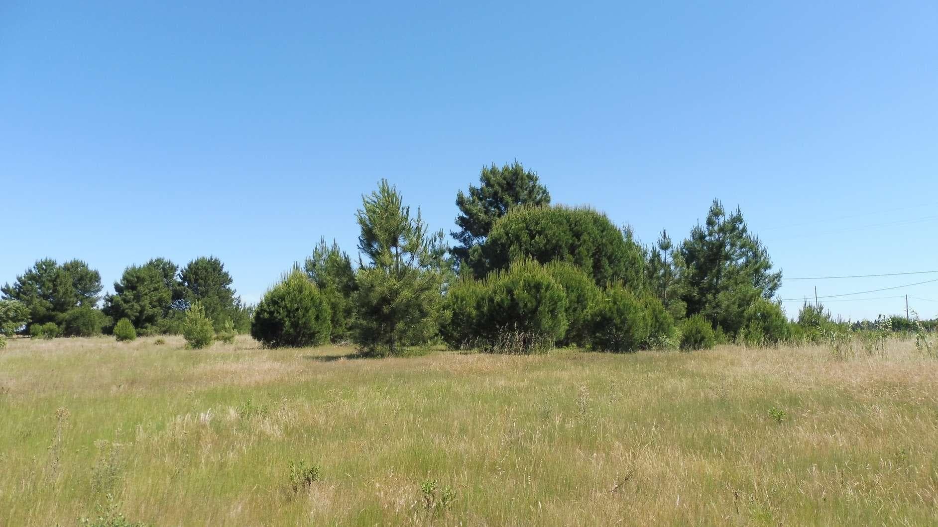 Terreno · Benavente — imagen 4