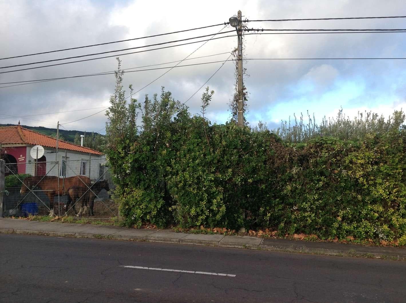 Proporção de 15/120 de Terreno · Feteira, Horta — imagen 1