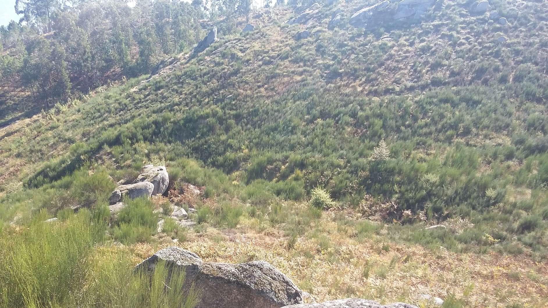 Terreno · Amarante — imagen 1