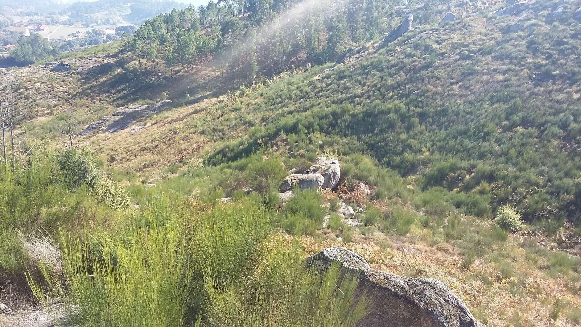 Terreno · Amarante — imagen 2