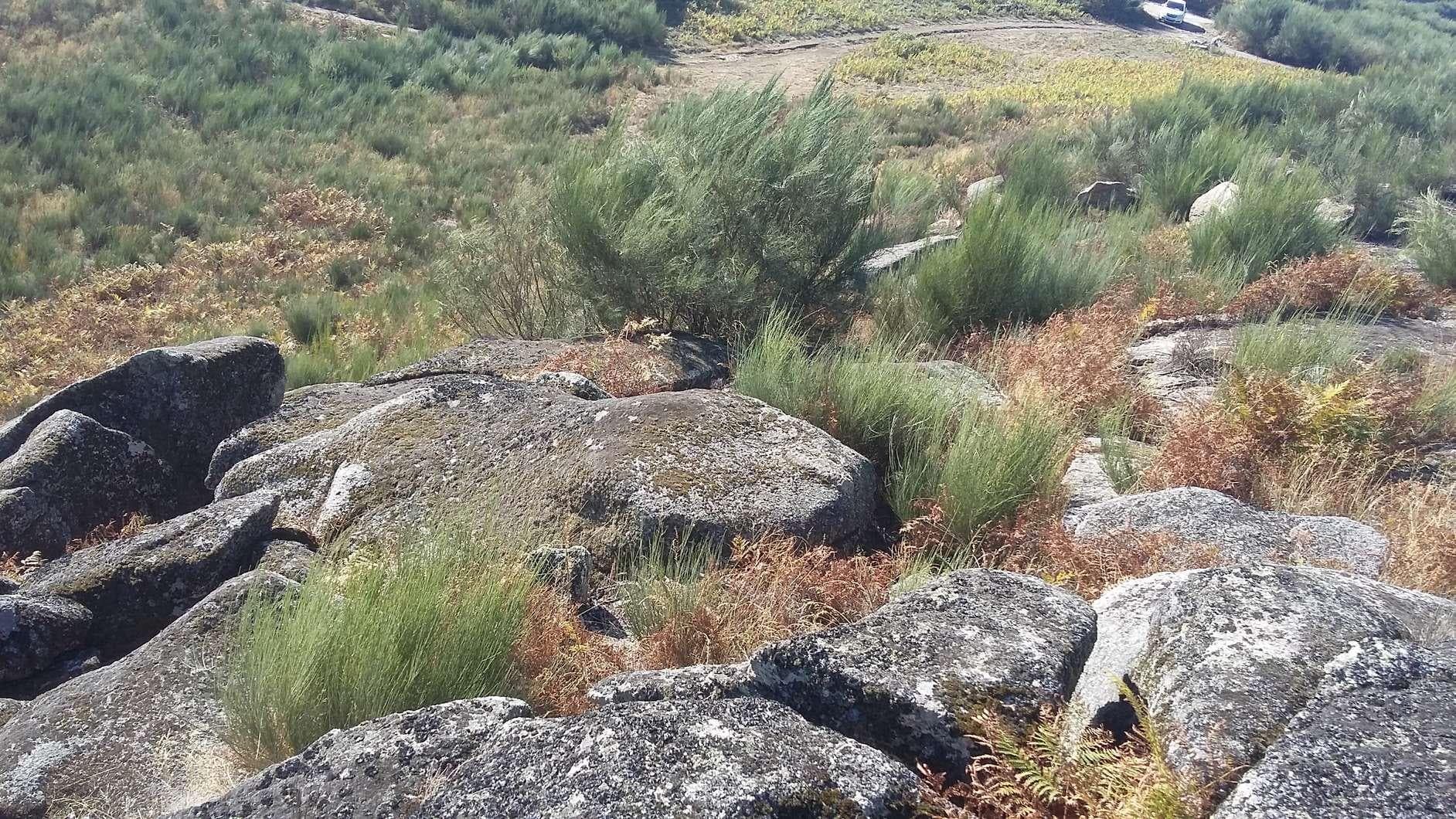 Terreno · Amarante — imagen 4