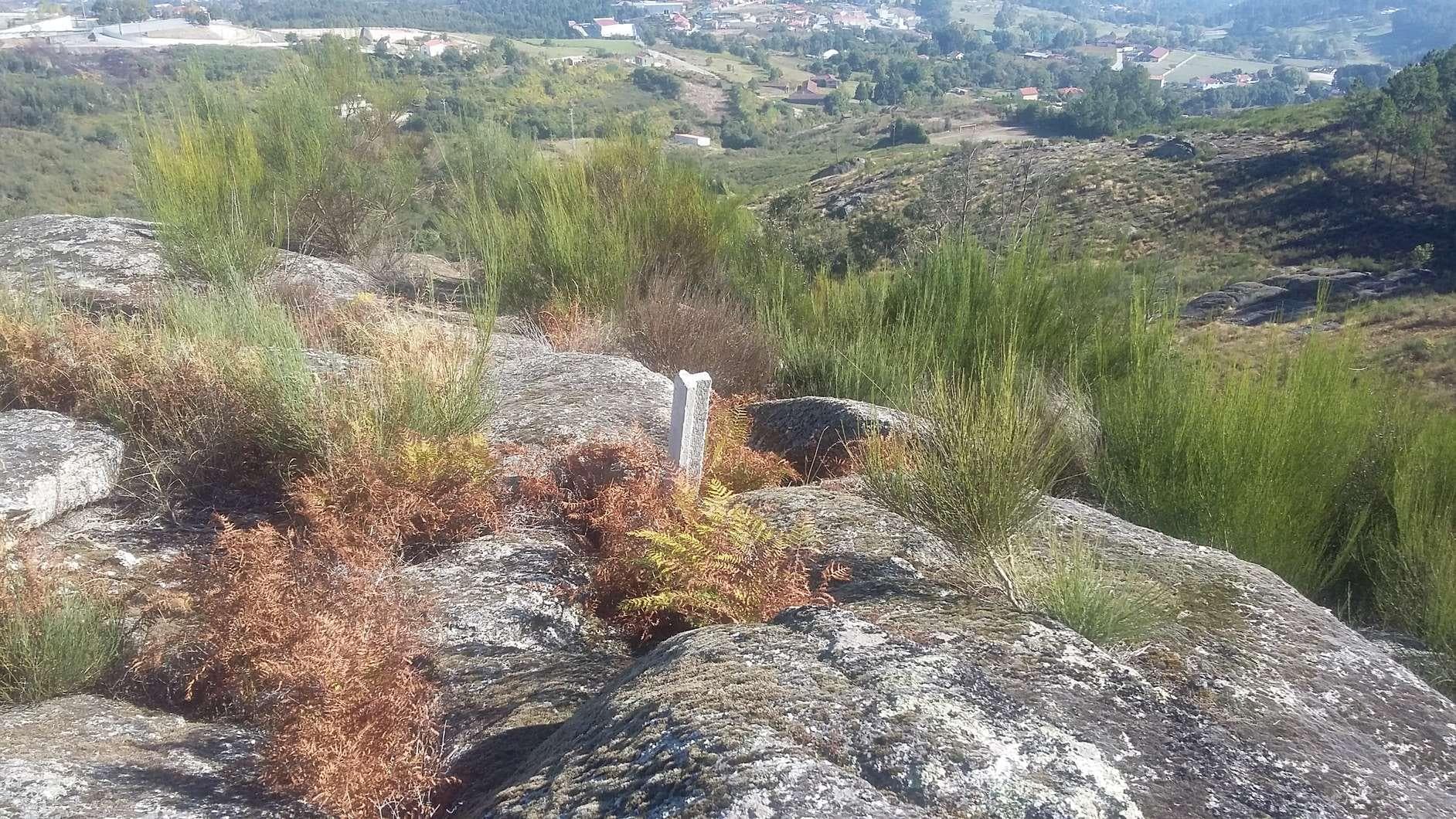Terreno · Amarante — imagen 6