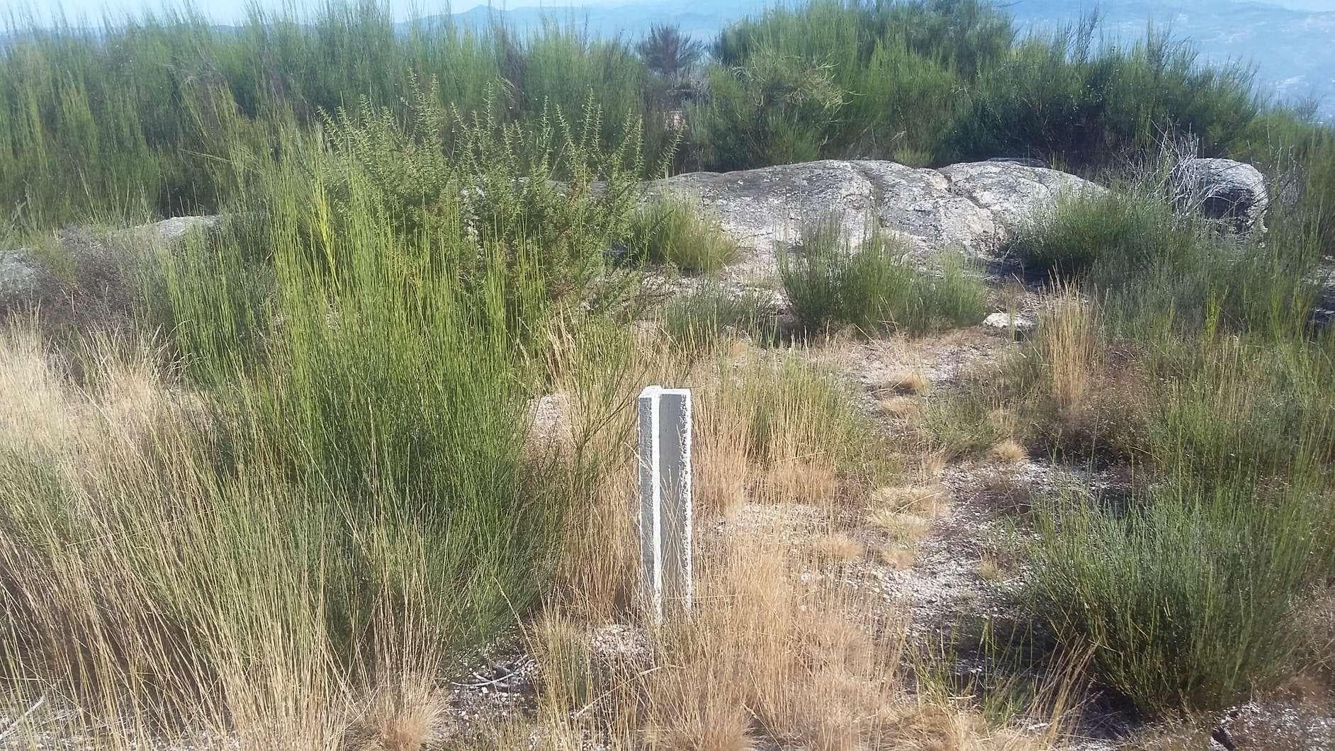 Terreno · Amarante — imagen 8