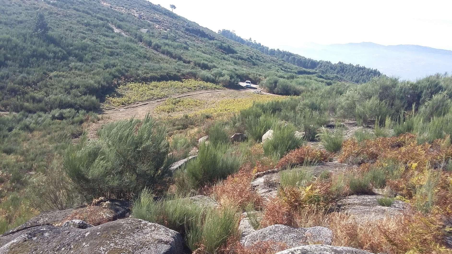 1/2 de Terreno · Amarante