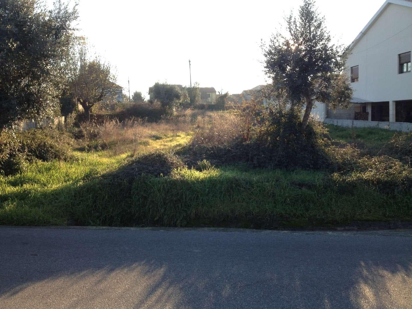 Terreno · Santa Comba Dão — imagen 1