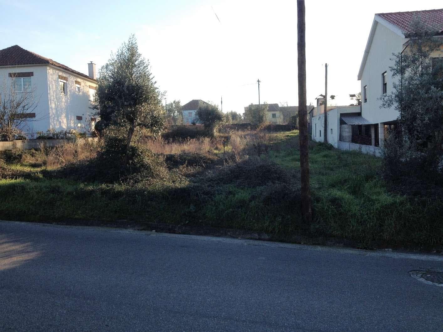 Terreno · Santa Comba Dão — imagen 2