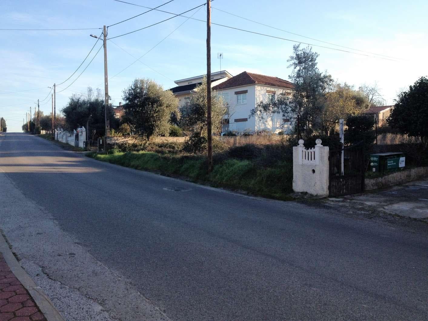 Terreno · Santa Comba Dão — imagen 3