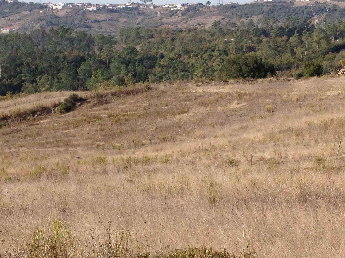 Terreno · Batalha — image 2