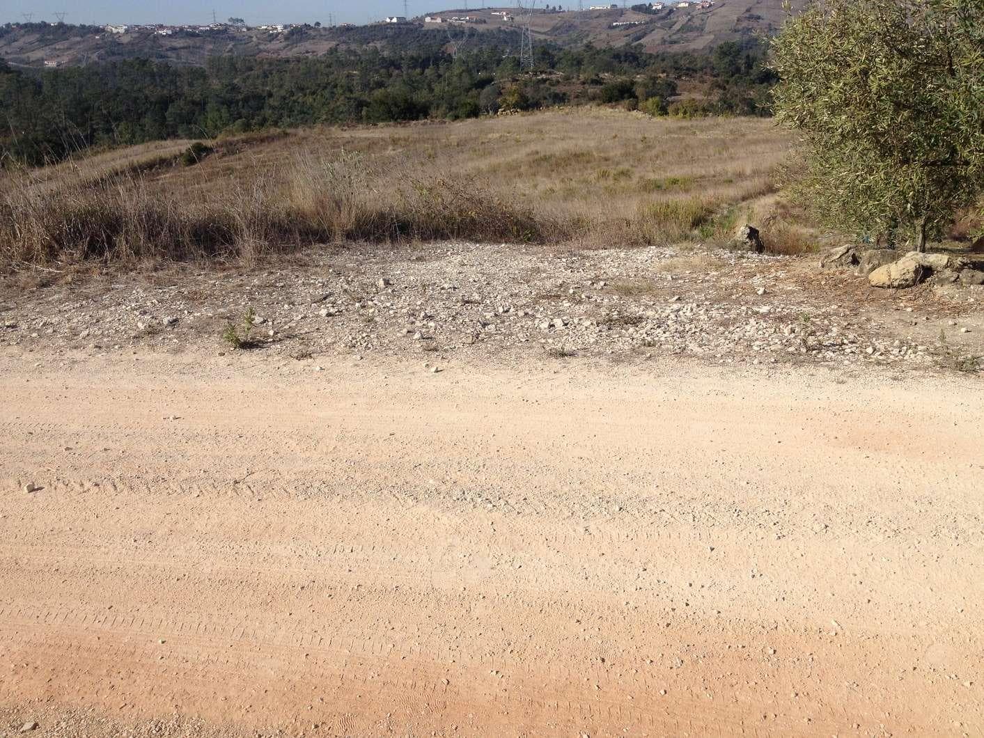Terreno · Batalha — image 3