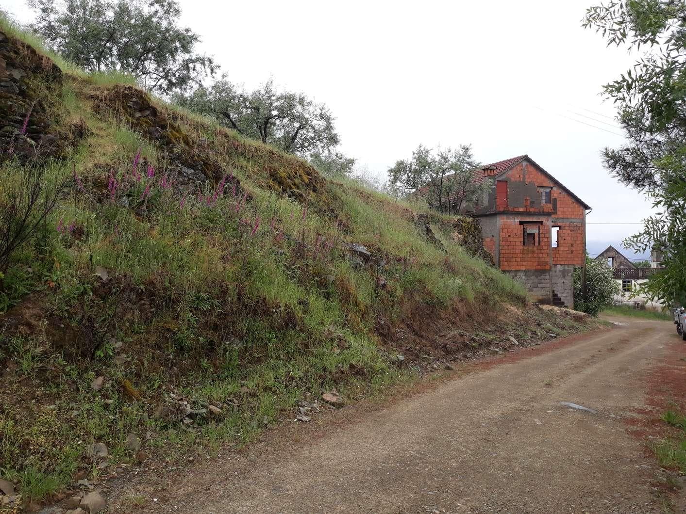 Edifício (Ruínas) + Terrenos· Oleiros, Castelo Branco — image 5