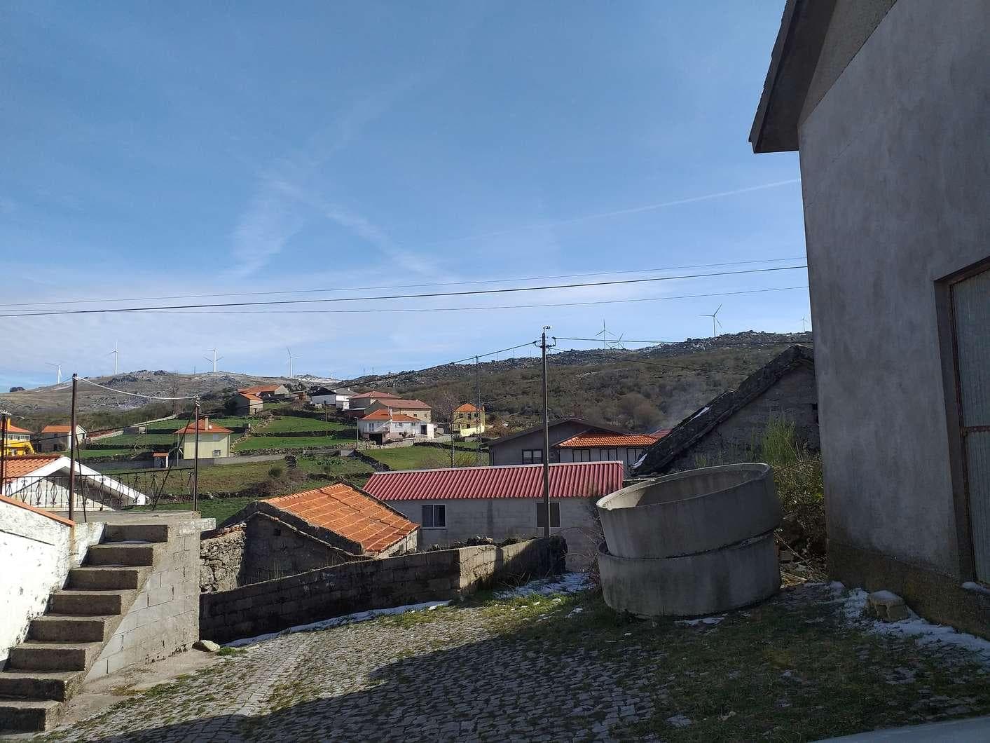 IMOVEL - Prédio Rústico - Lameiro e Mato, confronta a Norte e Nascente - Caminho, Sul - Herdeiros de Manuel R ... · Cinfães — image 1