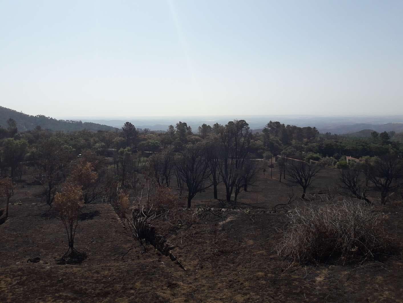 Terreno · Monchique — image 4