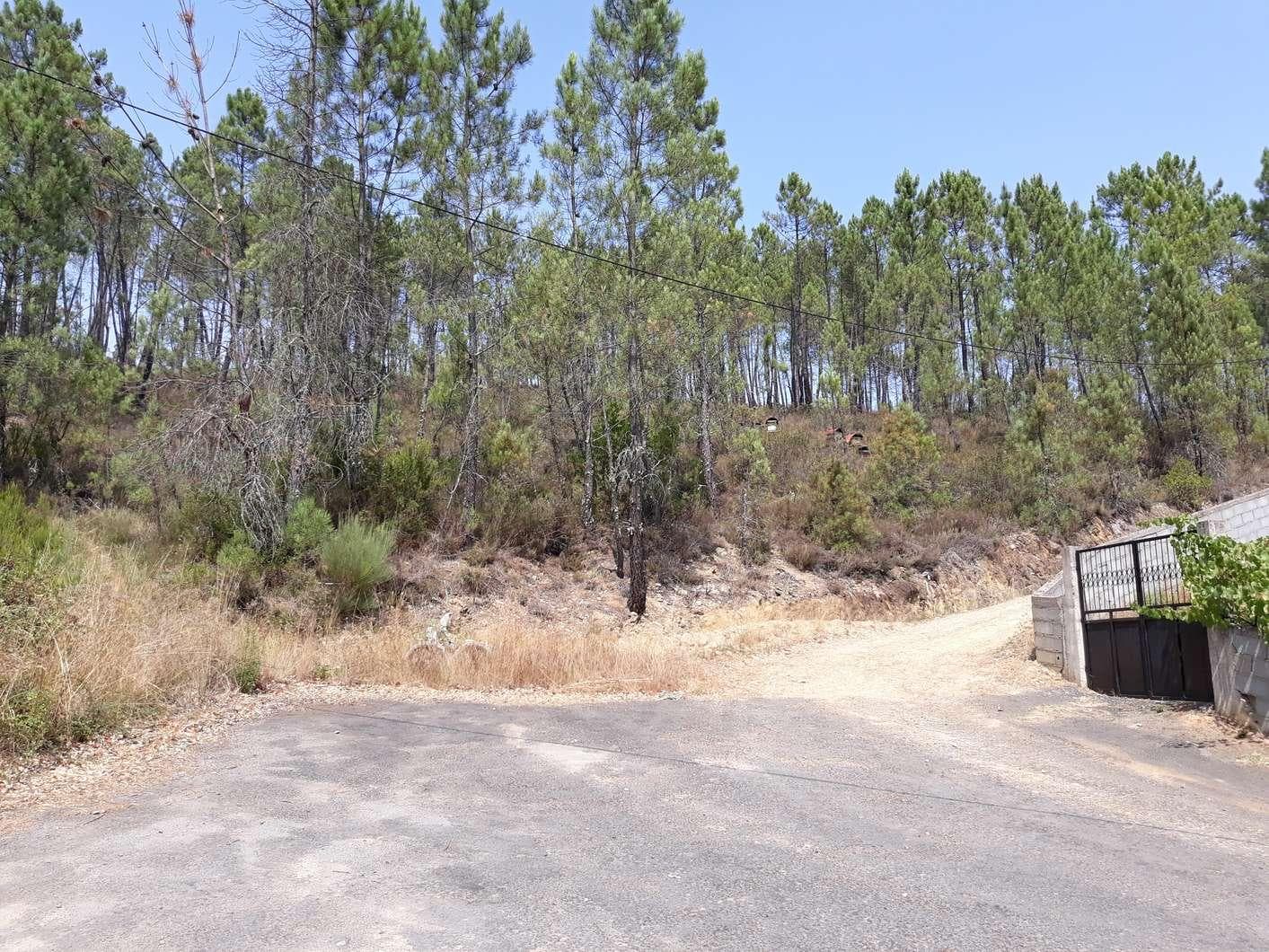 1/3 Terreno · Pampilhosa da Serra