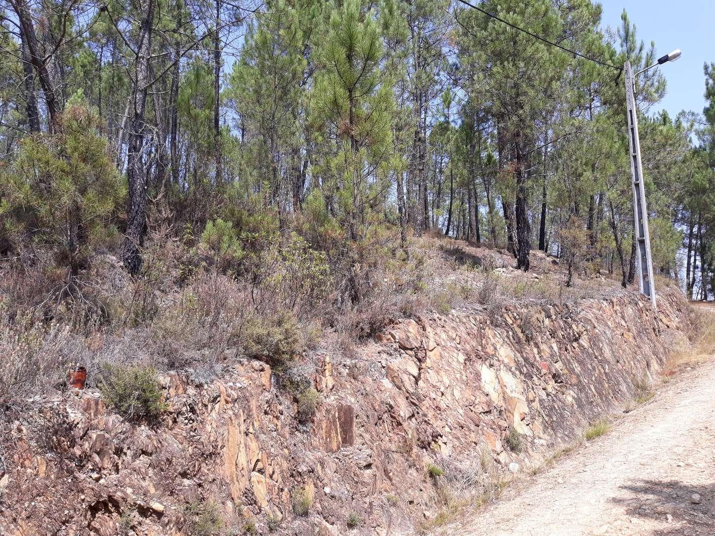1/3 Terreno · Pampilhosa da Serra — imagem 2