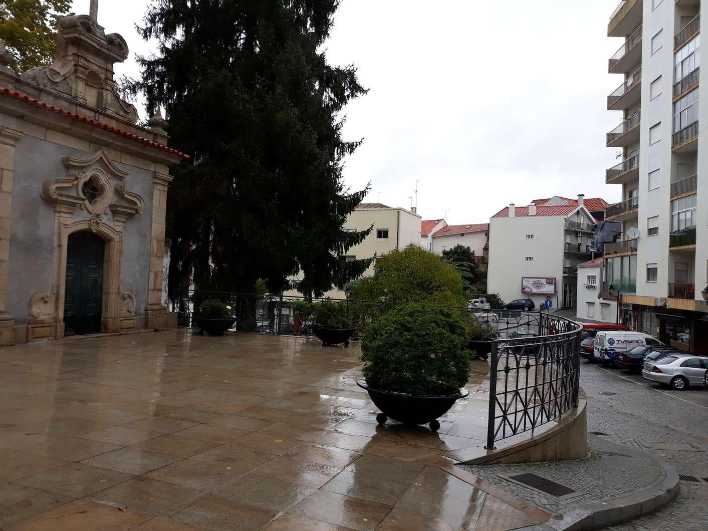 Terreno c/Benfeitoria · Seia — imagem 2