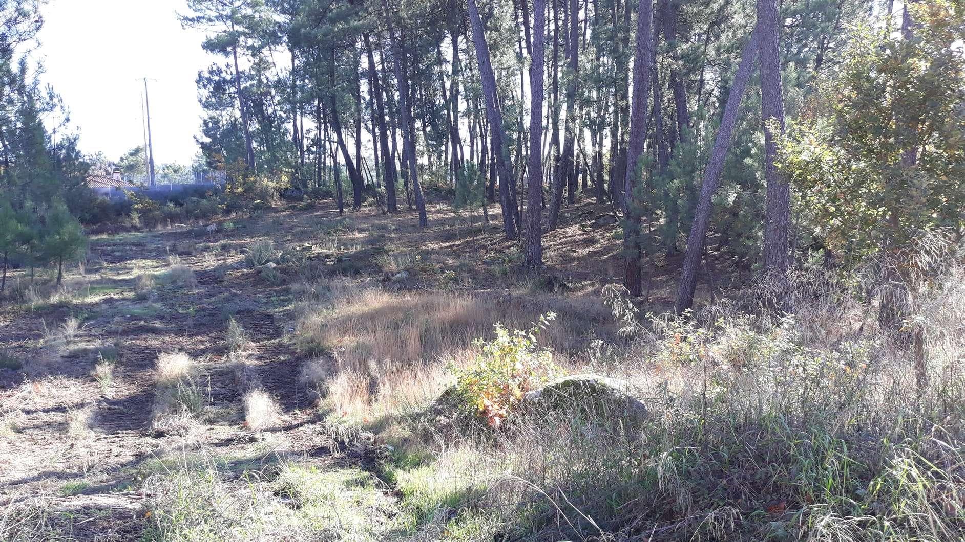 IMOVEL - Prédio Urbano - Parcela de terreno com 8.778m2 destinada a construção urbana. Sito no Bairro das Oli ... — imagen 3